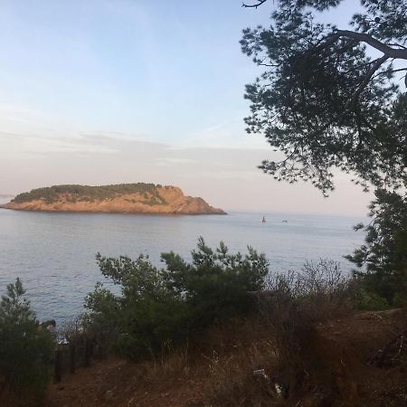 Fanny Wifi Climatise Tout A Pieds 4 Personnes La Ciotat Zewnętrze zdjęcie
